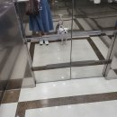 <애견 동반 국숫집>김포에서 강화 가는 길 서지배이 잔치국수 다녀온 후기.