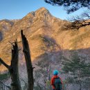 땅통종주＜23＞(대간7/대야산~이화령)47.70km.. 대간길에 봄은 언제 올까? 이미지