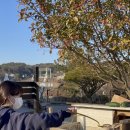 힐링빌리지 이미지