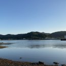 파레사애견풀빌라 이미지