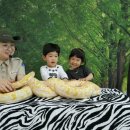 움지기어린이집 이미지