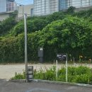 문화공간이육사 화장실 | 화성 남양 대형카페 추천 미디어아트 복합문화공간 섹션 메뉴 주차 후기