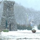 함평자연생태공원 이미지