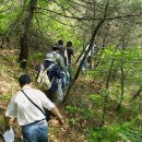 성산면-1 이미지