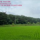 시곡2리 마을회관 이미지