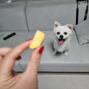 덕이야채과일