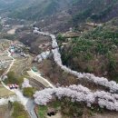 구룡에너지2호발전소 | 밀양 제1의 봄 드라이브 코스 삼랑진 양수발전소 벚꽃길