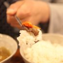 고기바보 이미지