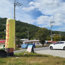 삼동면 전도3 이미지