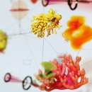 씨케이메디칼 이미지