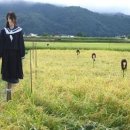 허수아비 - 관악구 호암로26길 72 | 허수아비