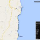 블루코스 이미지