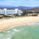 오션당구장 이미지