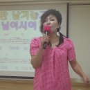 노금오 Daum카페