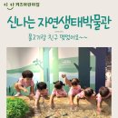 이안키즈어린이집 이미지