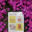부모님의집