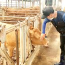 신촌한우농장 이미지