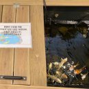 언덕농장 | 양평 가볼만한 곳 굼푸로곤충체험학습농장 어른도 가능? 솔직 후기