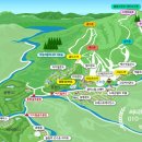 용평 버치힐골프클럽 이미지