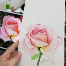 수채화 캘리그라피 이미지