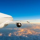 쇼핑나라 이미지