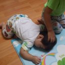 우리집 똥강아쥐 이미지