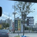 서가앤쿡수완점 | 광주 수완지구 맛집 "서가앤쿡 신메뉴 LA갈비 한상 솔직 후기" (새우필라프 찐맛집)