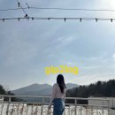 오버더지니 이미지
