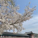 경희고성한의원 이미지