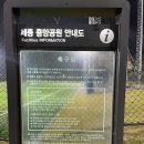 세종중앙공원 풋살장 네이버블로그