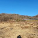 인리소류지 이미지