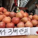 구성과일상회