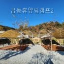 금동휴양림캠프2 직접 다녀온 솔직 후기와 시설 포인트