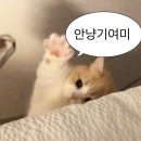 유가네닭갈비율하점