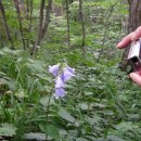 오목골 목장 이미지