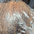 레드라이트 | [셀프염색] 로레알 엑셀랑스 레드 라이트 브라운 후기 / 뿌리염색, 새치 염색약 추천~