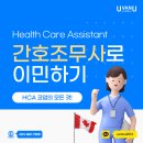 Health&Care 정원