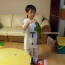 한스애견 이미지