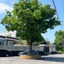 스테이 브라이튼 | [광양]감성 에어비앤비 숙소 &#34;스테이 브라이튼&#34; 사진맛집 내돈내산 후기