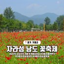 2025 경기 가평 자라섬 꽃축제, 봄꽃과 여름꽃으로 가득한 축제 탐방기