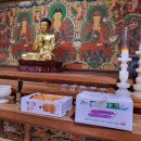 [보시 바라밀] 2025년 7월 둘째 주 공양물 보시자 이미지