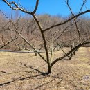 비봉산농장 이미지