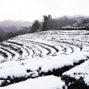 (주)월곡영화골 이미지