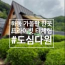 과자한바구니 | 경남 하동 여행코스 가볼만 한곳 녹차밭 도심다원 정자 예약방법 차바구니 세트 후기