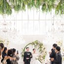 달하우스 이미지