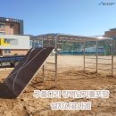 용아초등학교 이미지