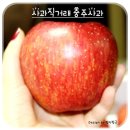 산골짜기 영농조합법인 이미지