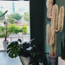 오든커피(OTHEN COFFEE) 이미지
