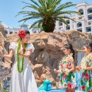 알로하제주 이미지