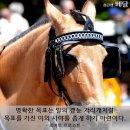 디여라 이미지